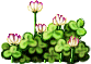 花簇