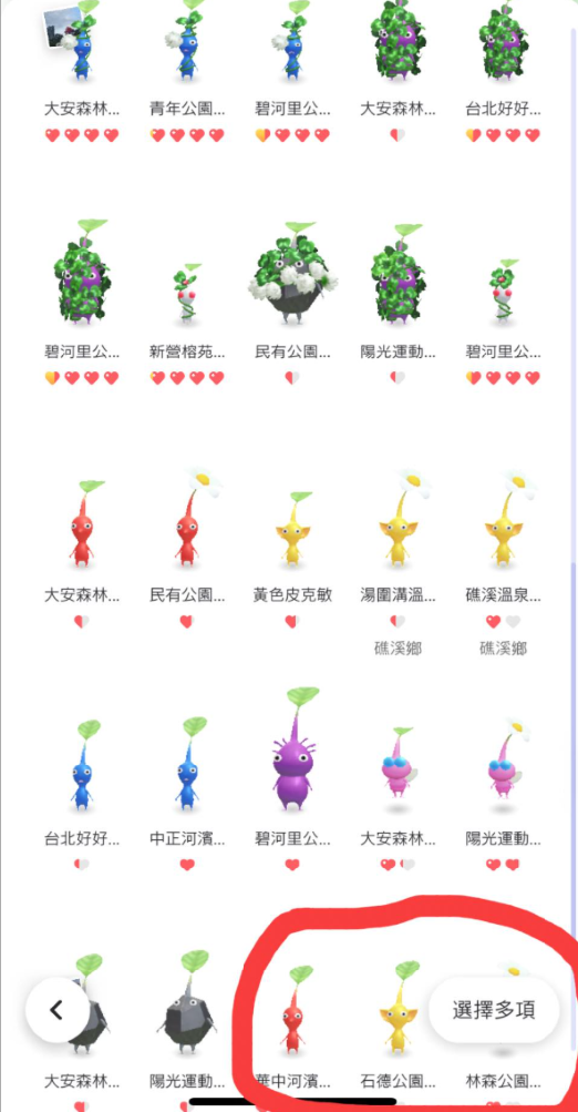 步驟3：圈出四葉皮克敏